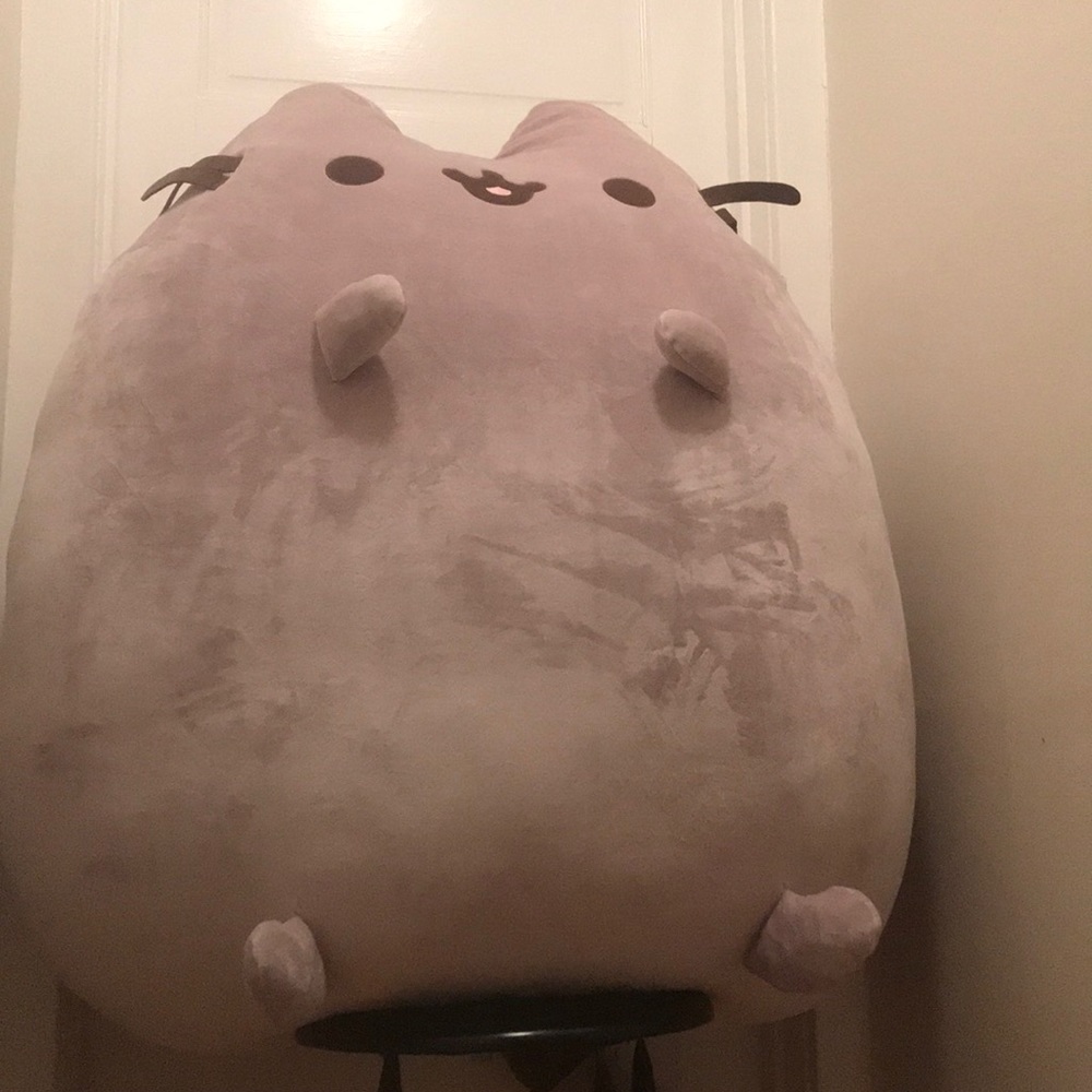 Pusheen Cat